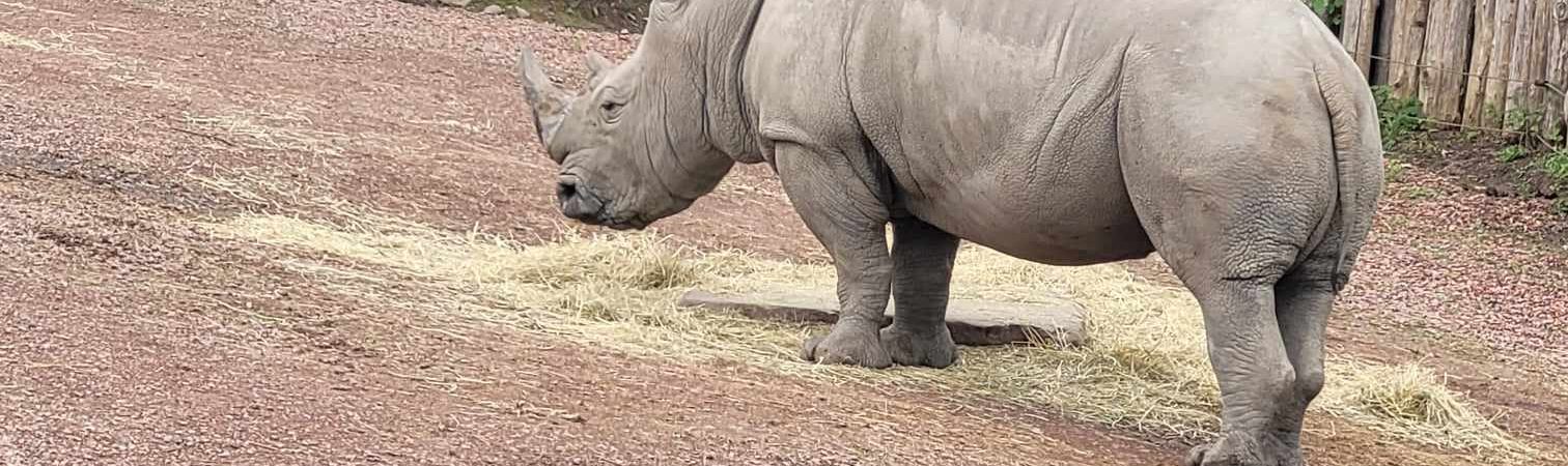 Le CEFA à Pairi Daiza